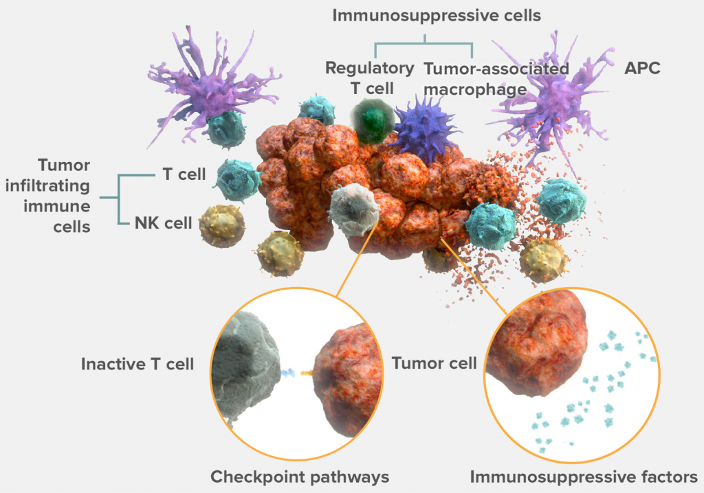 Immune-biomarkers-160321a